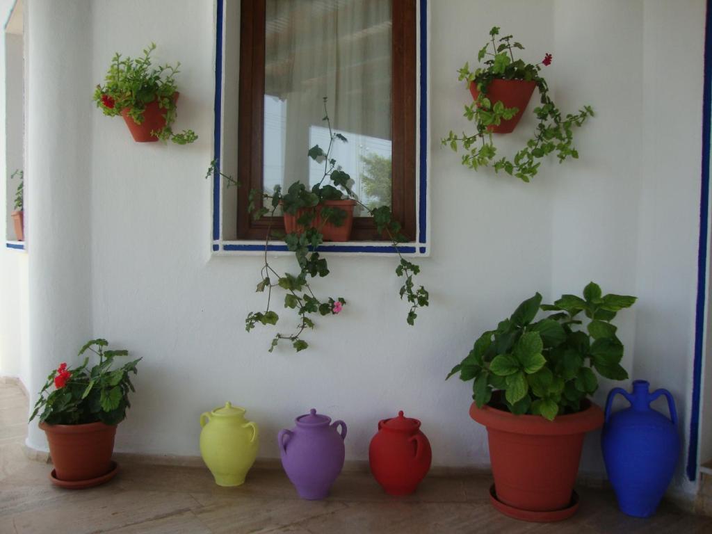 Eden Hotel Bodrum Exteriör bild